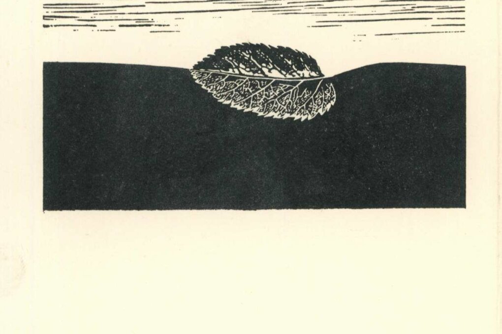 Jiří Šindler – ilustrace